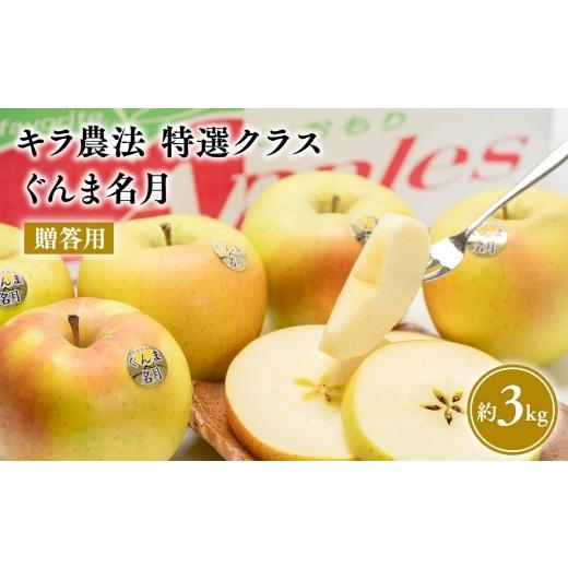 ふるさと納税 りんご 青森県 平川市 1〜3月 完熟りんご ぐんま名月 約3kg 贈答用 特選クラス 青森りんご・平川市広船産・1月・2月・3月 hi-