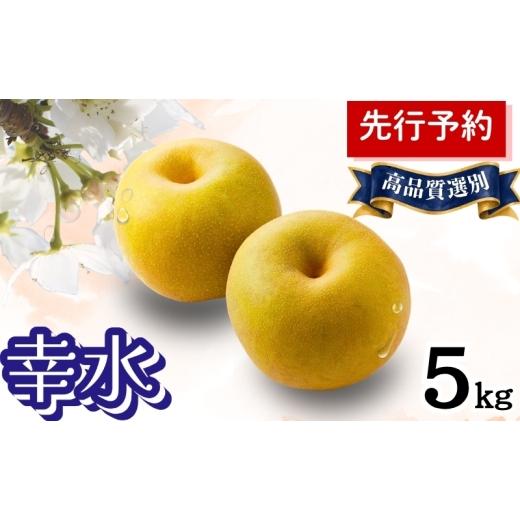 ふるさと納税 梨 秋田県 能代市 幸水 5kg 高品質選別 (12〜14個入) 秋田県 能代市 梨 なし ナシ 果物 フルーツ 厳選 贈答用 甘い 果実 果汁