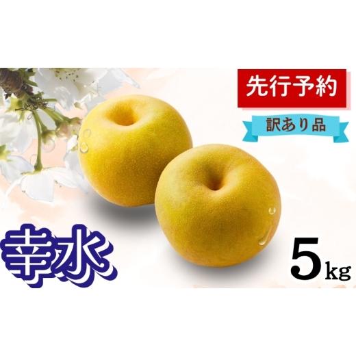 ふるさと納税 梨 秋田県 能代市 幸水 5kg 訳あり(12〜14個入) 秋田県 能代市 梨 なし ナシ 果物 フルーツ 厳選 訳あり 甘い 果実 果汁