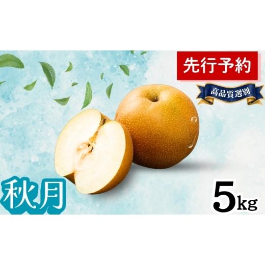 ふるさと納税 梨 秋田県 能代市 秋月 5kg 高品質選別(12〜14個入) 秋田県 能代市 梨 なし ナシ 果物 フルーツ 厳選 贈答用 甘い 果実 果汁