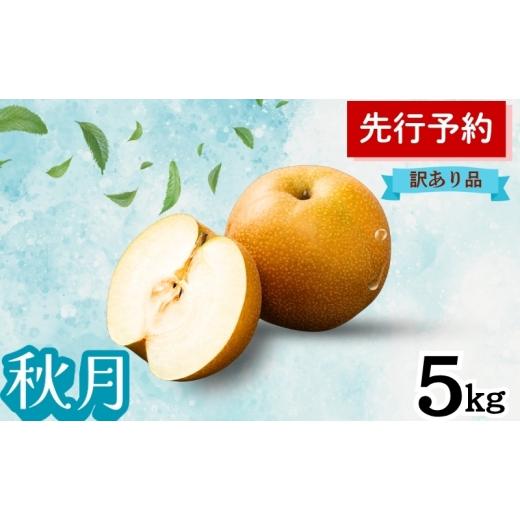 ふるさと納税 梨 秋田県 能代市 秋月 5kg 訳あり(12〜14個入) 秋田県 能代市 梨 なし ナシ 果物 フルーツ 厳選 訳あり 甘い 果実 果汁
