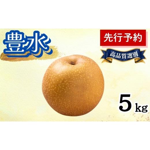 ふるさと納税 梨 秋田県 能代市 豊水 5kg 高品質選別 (12〜14個入) 秋田県 能代市 梨 なし ナシ 果物 フルーツ 厳選 贈答用 甘い 果実 果汁