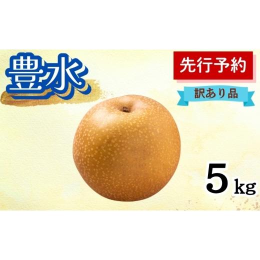 ふるさと納税 梨 秋田県 能代市 豊水 5kg 訳あり(12〜14個入) 秋田県 能代市 梨 なし ナシ 果物 フルーツ 厳選 訳あり 甘い 果実 果汁