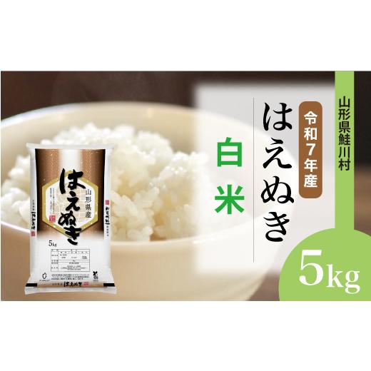 ふるさと納税 米 はえぬき 山形県 鮭川村 令和7年産 はえぬき 白米 5kg (5kg×1袋) 配送時期選べます 山形県鮭川村