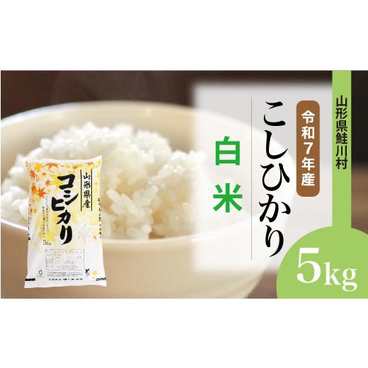 ふるさと納税 米 コシヒカリ 山形県 鮭川村 令和7年産 こしひかり 白米 5kg (5kg×1袋) 配送時期選べます 山形県鮭川村