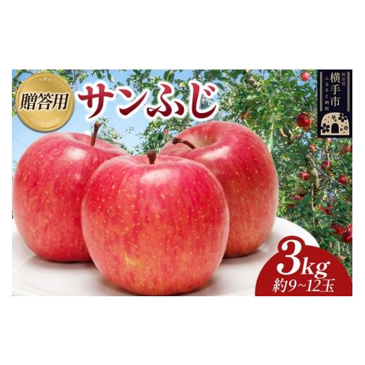 ふるさと納税 りんご 秋田県 横手市 先行受付 12月上旬より発送 樹上完熟りんご(サンふじ)贈答用 約3kg(約9〜12玉) 喜三郎農園 先行予約 秋田県 横手市 …