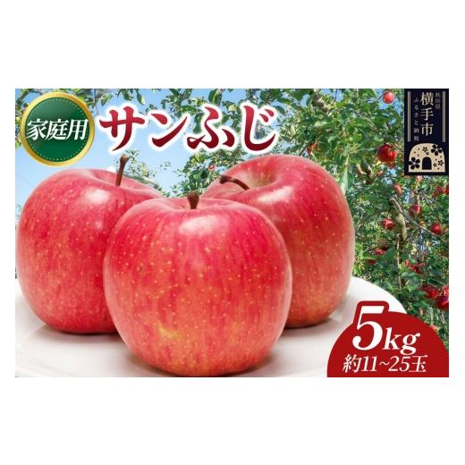 ふるさと納税 りんご 秋田県 横手市 先行受付 12月上旬より発送 樹上完熟りんご(サンふじ)家庭用 約5kg(約11〜25玉) 喜三郎農園 先行予約 秋田県 横手市 …