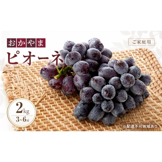 ふるさと納税 果物類 ぶどう 岡山県 赤磐市 ぶどう 訳あり おかやま ピオーネ 2kg箱 3〜6房 ご家庭用 規格外 2026年