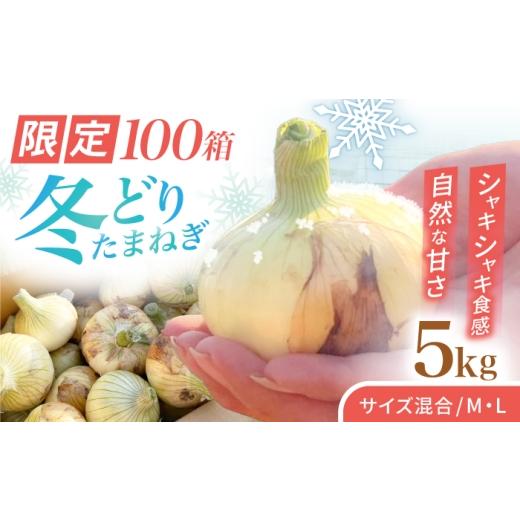 ふるさと納税 牛肉 サーロイン 佐賀県 白石町 種から栽培するこだわり 冬どりたまねぎ5kg 藤武農産