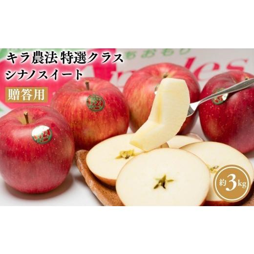 ふるさと納税 りんご 青森県 平川市 10〜12月発送 完熟りんご シナノスイート 約3kg 贈答用 夢ファクトリー 青森県産 キラ農法 hi-
