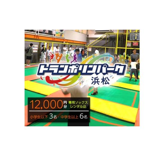 ふるさと納税 入場券・優待券 静岡県 浜松市 レジャー施設パーク浜松 ご招待券12,000円分 (ギフトカード 1,000円券×3枚 1,500円券×6枚) デザイン全4種 …