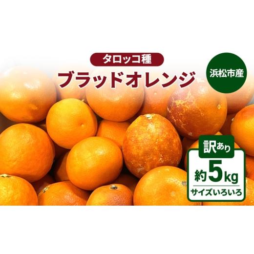 ふるさと納税 みかん・柑橘類 オレンジ 静岡県 浜松市 静岡県浜松市産 訳あり『ブラッドオレンジ(タロッコ種)』約5kg(サイズいろいろ)オレンジ 濃厚な甘み…