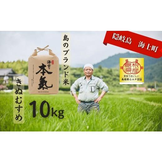 ふるさと納税 米 きぬむすめ 島根県 海士町 令和7年度産 本氣米10kg:きぬむすめ 甘くてもっちり島のブランド米 本氣米 きぬむすめ お米 精米 白米 弁当 ごは…