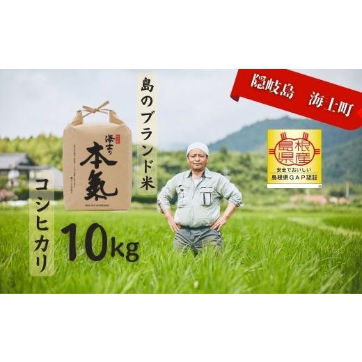 ふるさと納税 米 コシヒカリ 島根県 海士町 令和7年度産 本氣米10kg:コシヒカリ 甘くてもっちり島のブランド米 本氣米 お米 新米 精米 白米 ごはん ご飯 海…