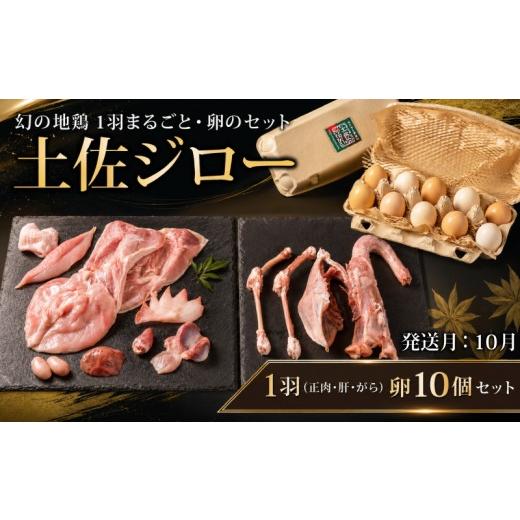 ふるさと納税 鶏肉 セット 高知県 安芸市 10月発送 希少 土佐ジロー 1羽 ( 正肉 肝 がら ) 卵 10個 セット ＼満天 青空レストラン/ メディア紹介多数 地鶏 …