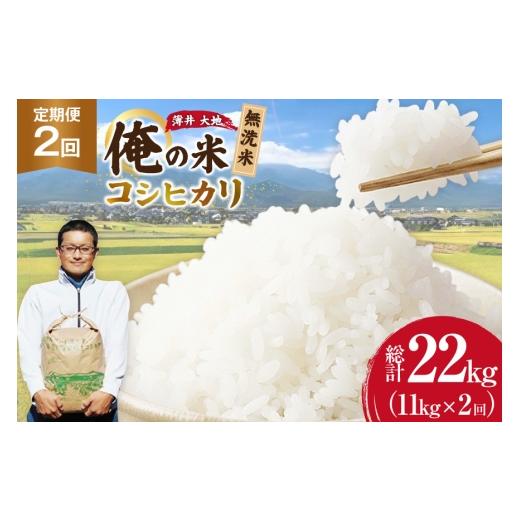 ふるさと納税 米 コシヒカリ 長野県 池田町 俺の米 米 定期便 2回 令和8年 コシヒカリ 無洗米 11kg 計 22kg 薄井 大地 長野県 池田町 48110941 お米 おこめ …