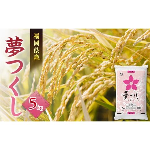 ふるさと納税 米 福岡県 朝倉市 米 夢つくし 5kg