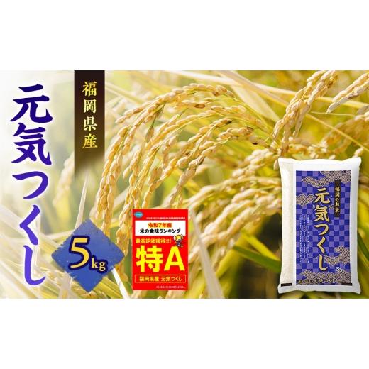 ふるさと納税 米 福岡県 朝倉市 米 元気つくし 5kg