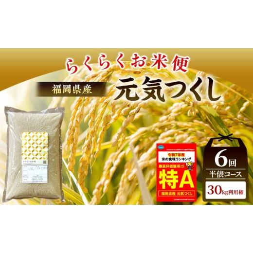 ふるさと納税 米 福岡県 朝倉市 米 らくらくお米便 計30kg 元気つくし ( 5kg × 6回 )