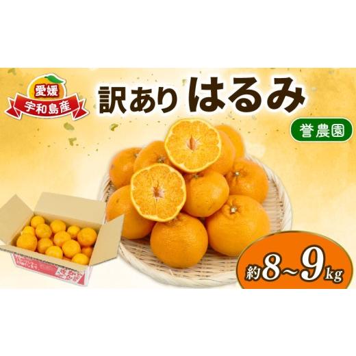 ふるさと納税 果物類 みかん 愛媛県 宇和島市 訳あり はるみ 8 〜 9kg 誉農園 先行予約 柑橘 みかん mikan 蜜柑 愛媛みかん 愛媛ミカン 愛媛蜜柑 果物 くだも…
