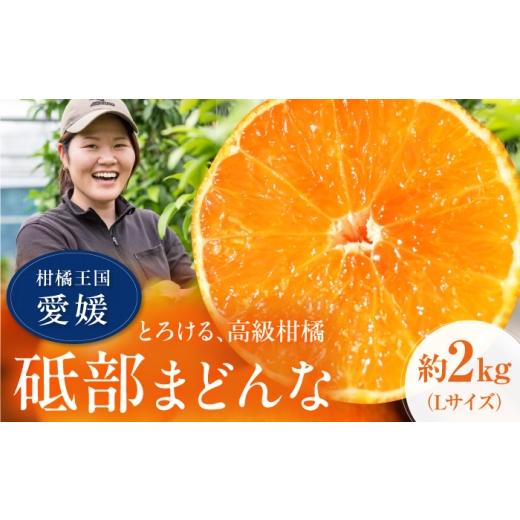 ふるさと納税 果物類 みかん 愛媛県 砥部町 みかん 紅まどんな 約2kg 11月中旬から12月下旬まで順次発送 / フルーツ 果物 柑橘 蜜柑 ミカン オレンジ まどん…