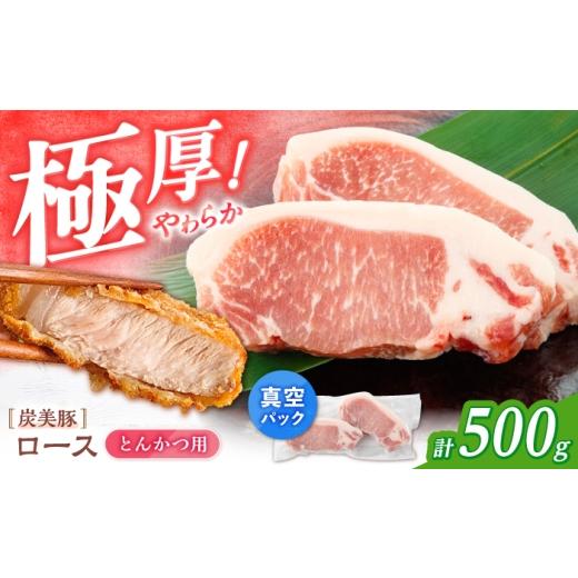 ふるさと納税 豚肉 ロース 長崎県 西海市 西海市産 「炭美豚」 とんかつ用ロース500g(250g×2パック) 宮本畜産 豚肉 とんかつ用 豚 便利 ロース 冷凍 国産 …