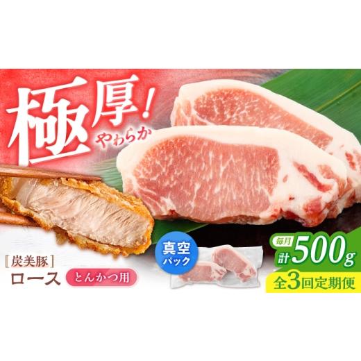ふるさと納税 豚肉 ロース 長崎県 西海市 3回定期便 西海市産 「炭美豚」 とんかつ用ロース500g(250g×2パック) 宮本畜産 豚肉 とんかつ用 豚 便利 ロース …