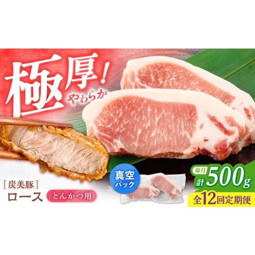 ふるさと納税 豚肉 ロース 長崎県 西海市 12回定期便 西海市産 「炭美豚」 とんかつ用ロース500g(250g×2パック) 宮本畜産 豚肉 とんかつ用 豚 便利 ロース…