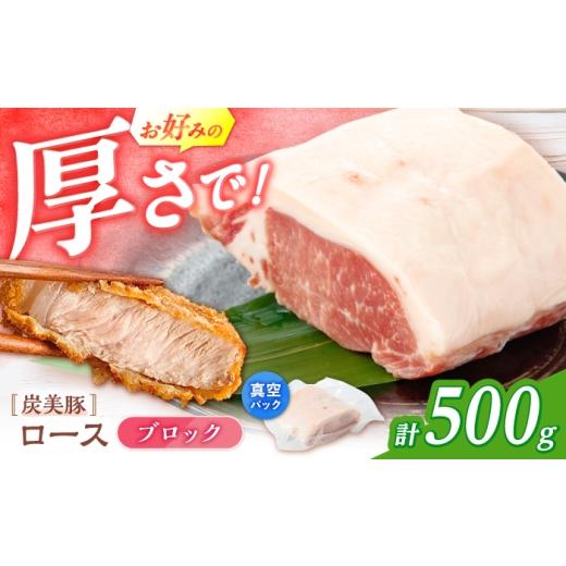 ふるさと納税 豚肉 ロース 長崎県 西海市 西海市産 「炭美豚」 豚ロースブロック500g (500g×1パック) 宮本畜産 豚肉 とんかつ用 豚 便利 ロース 冷凍 国産 …