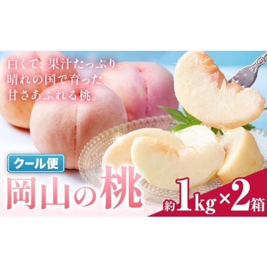ふるさと納税 もも 岡山県 笠岡市 ＼豊作につき特別寄附額/ 今なら7月発送 来月なら8月中にすぐ届く 岡山の桃 約1kg × 2箱 [1-5営業日出荷]岡山県 笠岡市 …