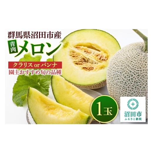 ふるさと納税 メロン 群馬県 沼田市 沼田市産 メロン 1玉(約1.5〜2kg) クラリス、パンナのどちらかから園主おすすめの旬のメロンをお届け めろん 園主が厳選…