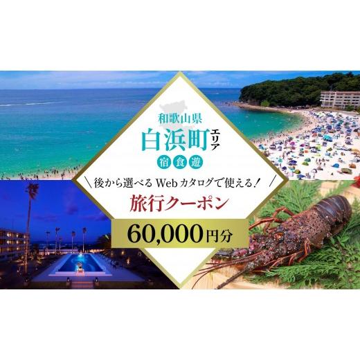 ふるさと納税 イベントやチケット等 和歌山県 白浜町 [和歌山 ツアー] 白浜 後から選べる旅行Webカタログで使える 旅行クーポン(60,000円分)絶青に癒やさ…