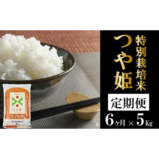 ふるさと納税 米 つや姫 山形県 酒田市 10月下旬発送開始/ 6回定期便 [精米]特別栽培米 つや姫 5kg×6回(計30kg) JM SH0099 令和8年10月下旬発送開始