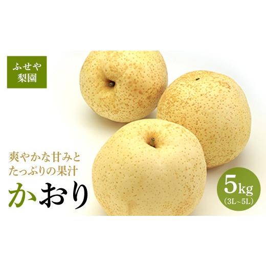 ふるさと納税 梨 栃木県 宇都宮市 かおり 5kg ふせや梨園 | 農家直送 梨 ナシ 果物 フルーツ 宇都宮市 栃木県 2026年8月〜発送