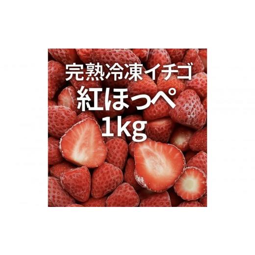 ふるさと納税 いちご 静岡県 静岡市 ICHIYAの完熟紅ほっぺ冷凍いちご 1kg 配送不可:離島