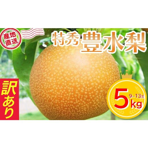ふるさと納税 梨 宮城県 蔵王町 ご家庭用 豊水梨 5kg箱詰め 04301-1074 訳あり 訳アリ ナシ 梨 なし