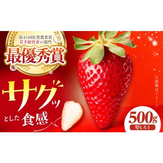 ふるさと納税 いちご 佐賀県 江北町 先行予約 堅しろう 250g×2パック(計500g) むらおか農園 いちご イチゴ