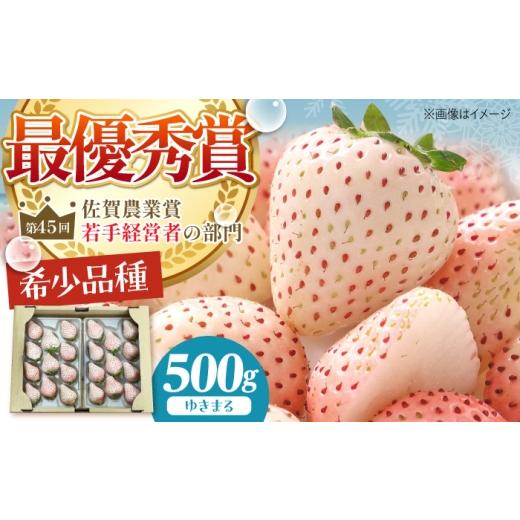 ふるさと納税 いちご 佐賀県 江北町 先行予約 ゆきまる 250g×2パック(計500g) むらおか農園 いちご イチゴ