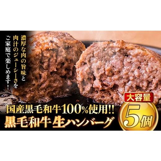 ふるさと納税 肉 ハンバーグ 熊本県 産山村 ハンバーグ 大容量 5個 クール便 黒毛 和牛 100% 生ハンバーグ [30日以内に出荷予定(土日祝除く)] 黒毛和牛 冷凍…