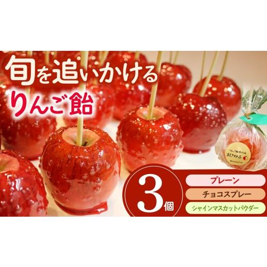 ふるさと納税 飴(あめ) 愛知県 武豊町 りんご飴専門店まじかる りんご飴Aセット プレーン×1,チョコスプレー×1,シャインマスカットパウダー×1 │リンゴ …