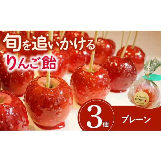 ふるさと納税 飴(あめ) 愛知県 武豊町 りんご飴専門店まじかる りんご飴Bセット プレーン×3 │リンゴ 林檎 お祭り スイーツ りんごあめ リンゴアメ