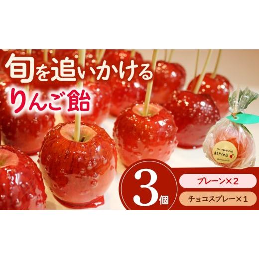 ふるさと納税 飴(あめ) 愛知県 武豊町 りんご飴専門店まじかる りんご飴Cセット プレーン×2,チョコスプレー×1 │リンゴ 林檎 お祭り スイーツ りんごあめ …
