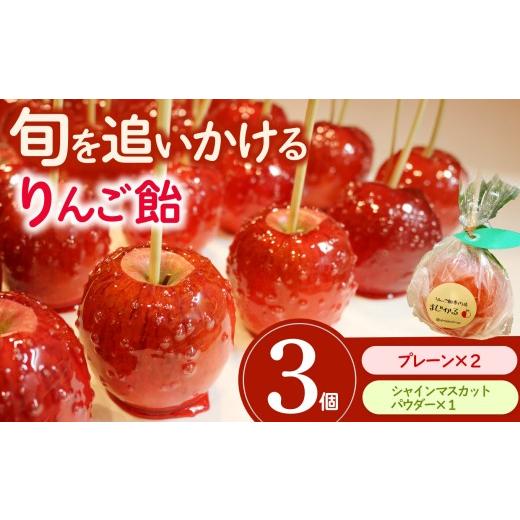 ふるさと納税 飴(あめ) 愛知県 武豊町 りんご飴専門店まじかる りんご飴Dセット プレーン×2,シャインマスカットパウダー×1 │リンゴ 林檎 お祭り スイーツ…
