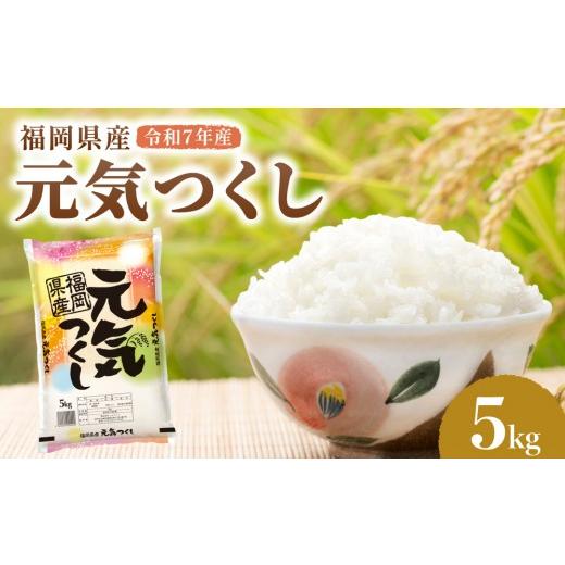 ふるさと納税 米 福岡県 篠栗町 令和7年産 福岡県産元気つくし 5kg | ふるさと納税 元気つくし 福岡県産 ブランド米 米 白米 精米 新米 お取り寄せ ごはん 人…