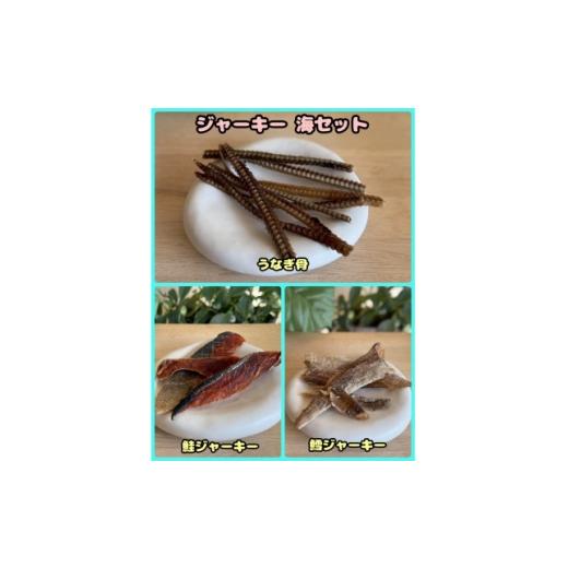 ふるさと納税 雑貨・日用品 大阪府 富田林市 ふるさと納税限定セット わんちゃん用ペットフード ジャーキー海セット 1754027