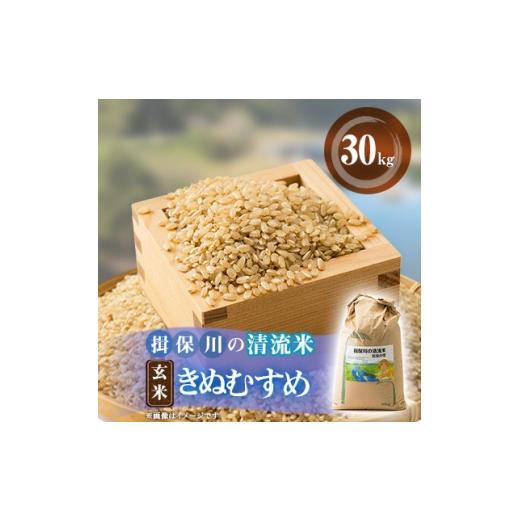 ふるさと納税 玄米 兵庫県 太子町 令和8年度 揖保川の清流米(きぬむすめ30kg) 玄米 1757336