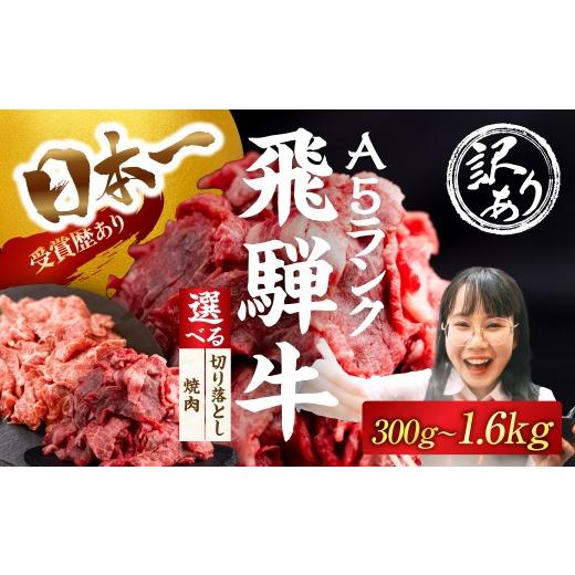ふるさと納税 牛肉 焼肉・バーベキュー 岐阜県 大垣市 現寄附金額は9/30まで 訳あり 飛騨牛 A5 焼肉 1200g 1.2kg 肉 飛騨牛 A5 A5ランク A5等級 部位おまか…