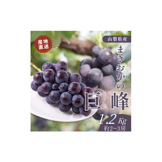 ふるさと納税 ぶどう 巨峰 山梨県 山梨市 山梨県まきおか産 巨峰1.2Kg 1756894