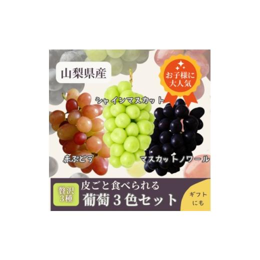 ふるさと納税 ぶどう 山梨県 山梨市 山梨県まきおか産 皮ごと食べられる葡萄3色セット 1756900