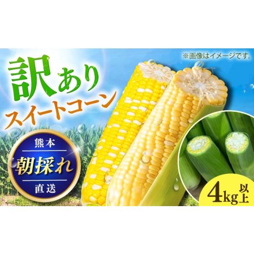 ふるさと納税 とうもろこし 熊本県 菊陽町 先行予約 2027年6月上旬より順次発送 訳あり スイートコーン(品種問わず) 4kg以上(10〜20本) / 甘々娘 ドルチェド…